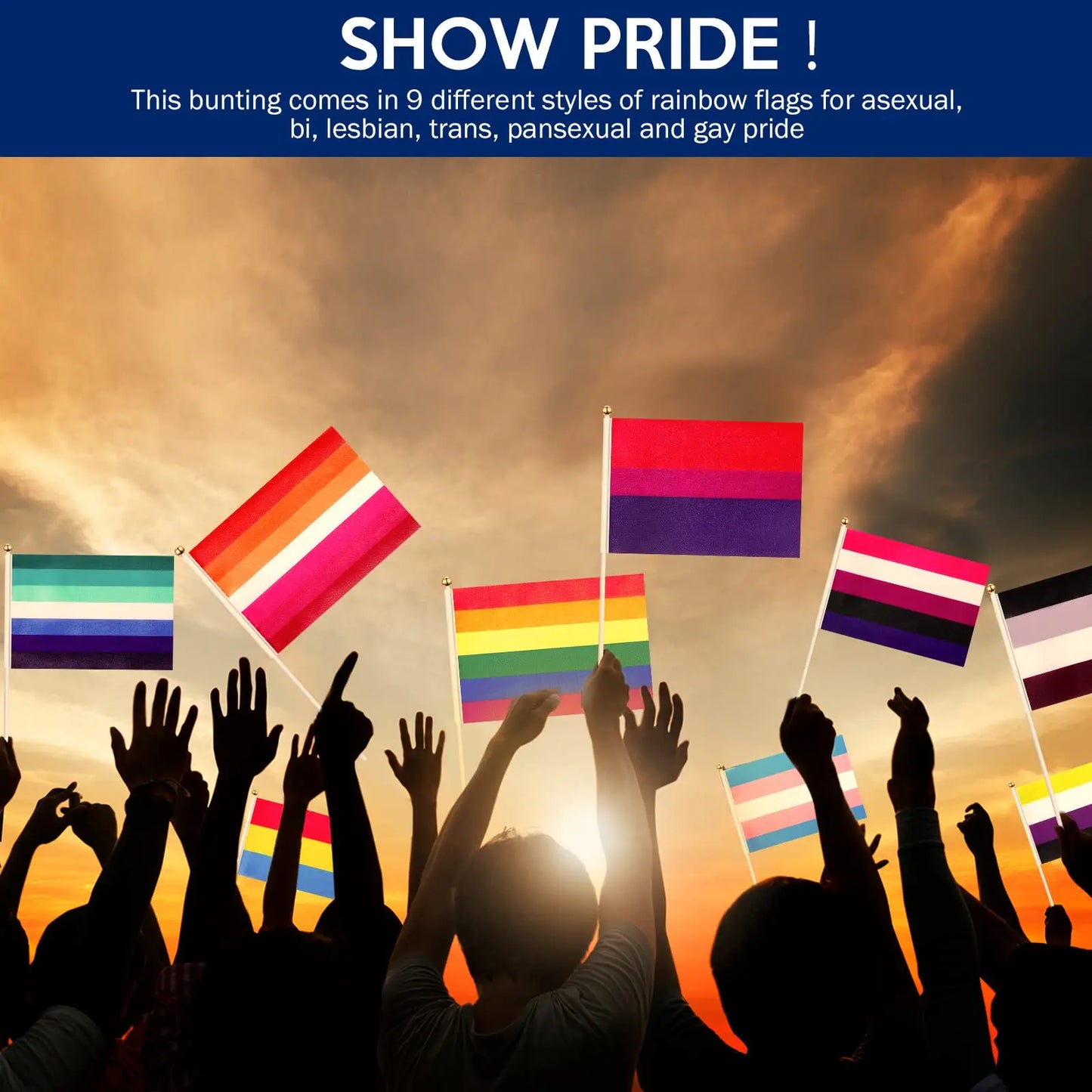LGBTQ Hand Flags