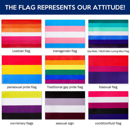 LGBTQ Hand Flags